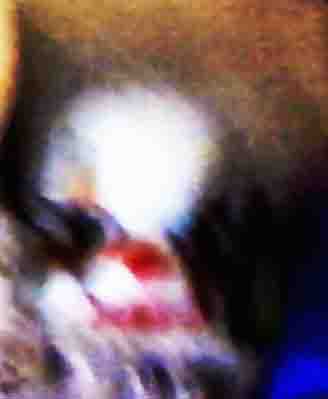 Example Image